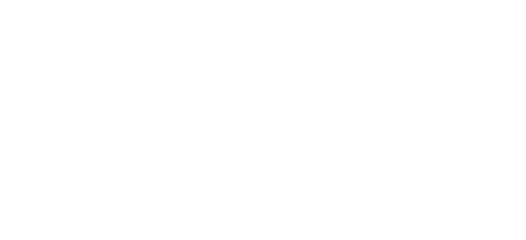De Vinyl Schuur